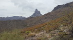 photo thumbnail #8