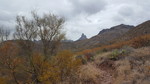 photo thumbnail #10