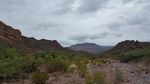photo thumbnail #12