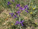photo thumbnail #8