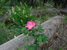 photo thumbnail #6