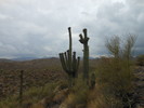 photo thumbnail #7