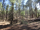 photo thumbnail #10