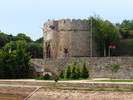 photo thumbnail #5