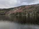 photo thumbnail #5