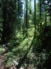 photo thumbnail #9