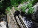 photo thumbnail #10