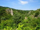 photo thumbnail #2