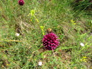 photo thumbnail #13