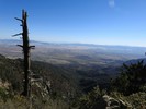 photo thumbnail #5