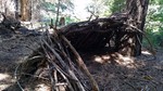 photo thumbnail #7