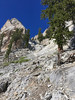 photo thumbnail #5