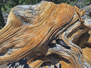 photo thumbnail #7
