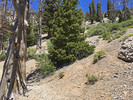 photo thumbnail #8