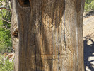 photo thumbnail #9