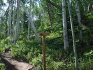 photo thumbnail #6