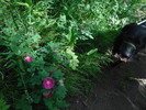 photo thumbnail #10