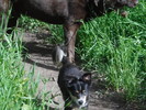 photo thumbnail #13
