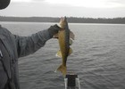 photo thumbnail #8
