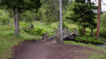 photo thumbnail #2