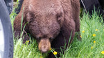 photo thumbnail #9