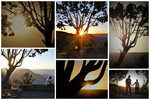 photo thumbnail #14