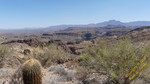 photo thumbnail #8