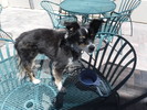 photo thumbnail #3