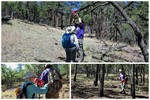 photo thumbnail #5