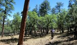 photo thumbnail #9