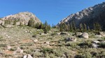 photo thumbnail #7