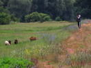 photo thumbnail #5