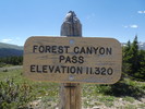 photo thumbnail #12