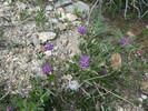 photo thumbnail #14