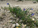 photo thumbnail #15