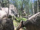 photo thumbnail #6