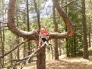 photo thumbnail #12