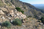 photo thumbnail #13