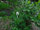 photo thumbnail #7