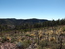 photo thumbnail #9
