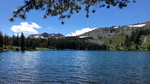 photo thumbnail #3