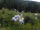 photo thumbnail #8
