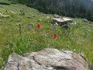 photo thumbnail #11