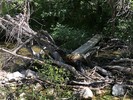 photo thumbnail #2