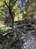 photo thumbnail #11