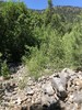 photo thumbnail #13