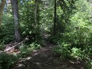 photo thumbnail #2