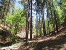 photo thumbnail #9