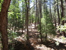 photo thumbnail #8