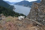 photo thumbnail #7